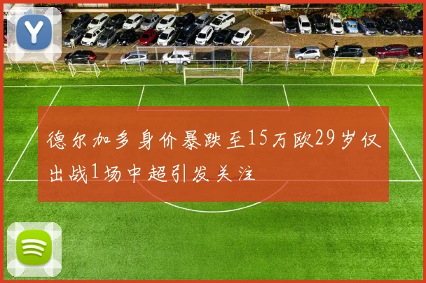 德尔加多身价暴跌至15万欧29岁仅出战1场中超引发关注